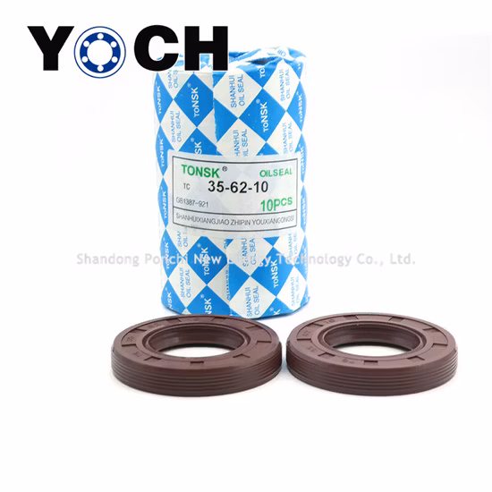EPDM HNBR Neoprene Silicone FKM NBR SC TC Paraolio scheletro per tenuta idraulica Nero Marrone Rosso doppio labbro labbro singolo